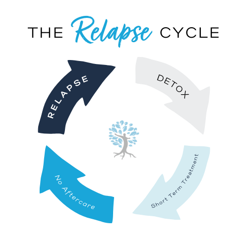 a circular flow chart that illustrates why relapse happens. the relapse cycle of an addictive individual undergoing detox, short term addiction treatment, but when they receive no aftercare upon leaving rehab, they fall into the risk of relapse - thus restarting the cycle of needing detox all over again