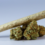 Close-up image of a rolled cannabis joint resting on top of green marijuana buds against a neutral background