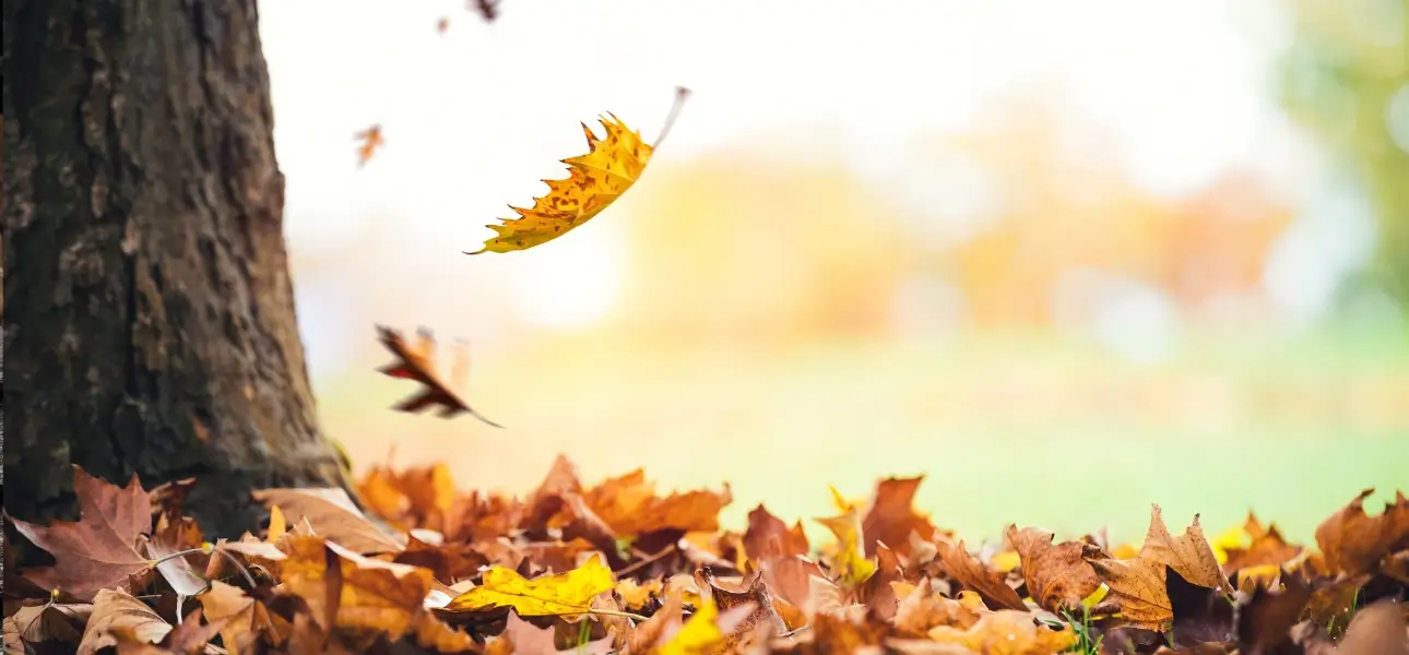 What Does It Really Mean to Let Go of the Past?